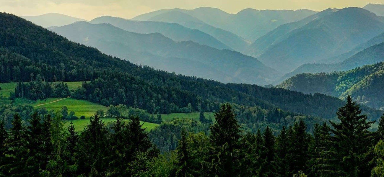 Welcome To Dikhukpa Sewa Samaj